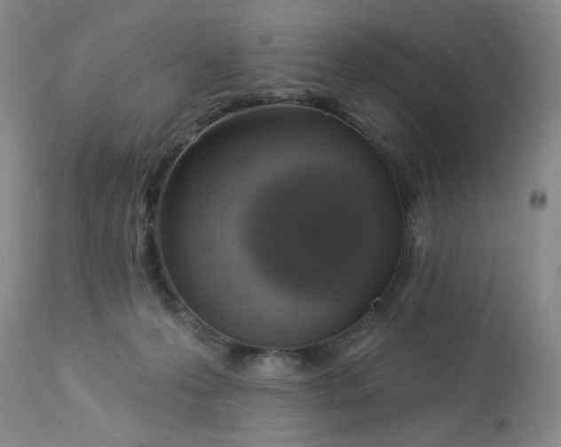 X0000113080223200909111011