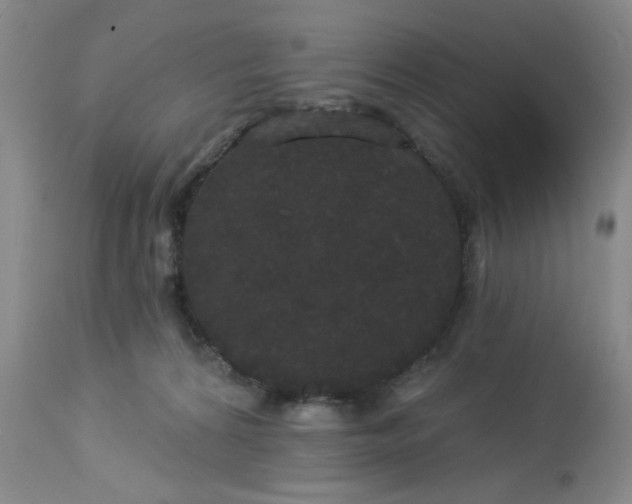 X0000113080224200909111011