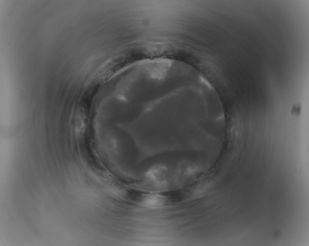 X0000113080226200909111011