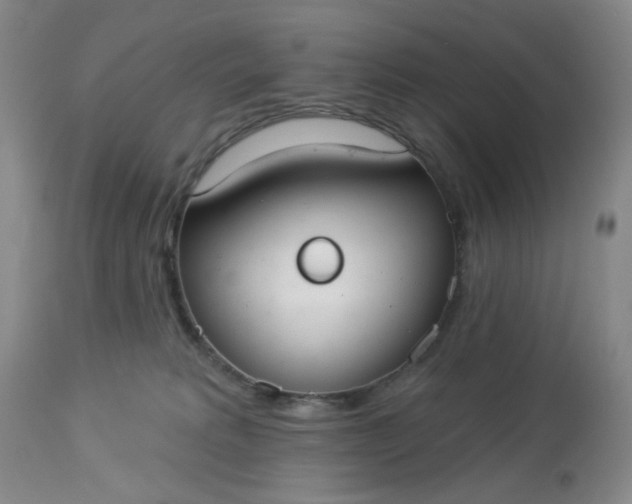 X0000113080229200909111011