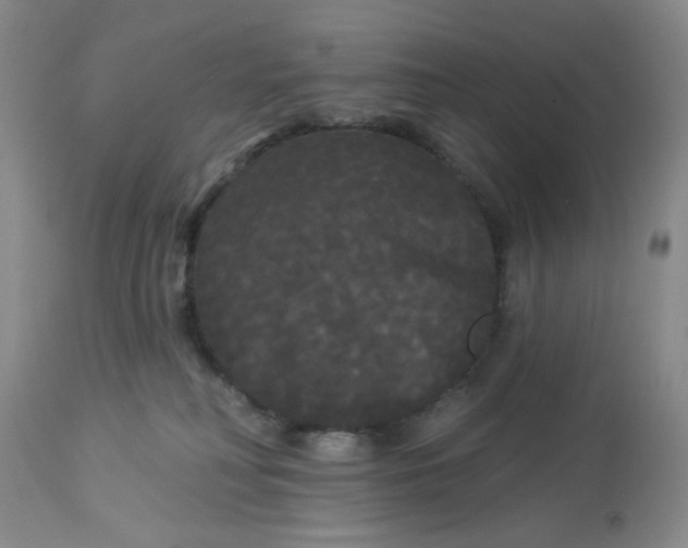 X0000113080230200909111011