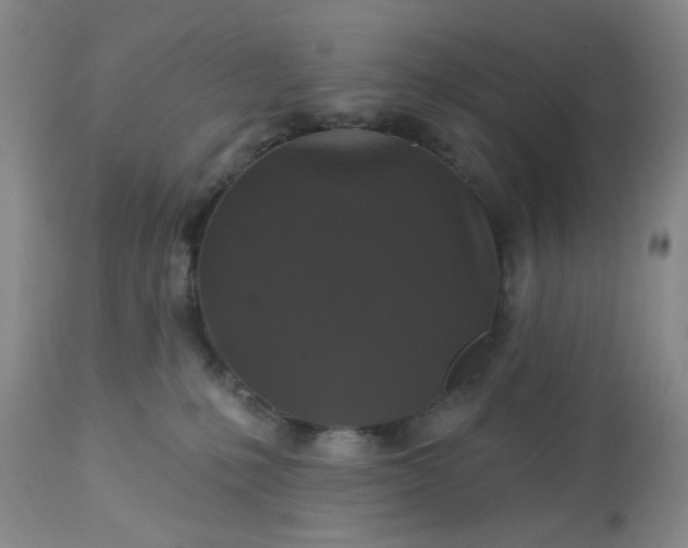 X0000113080231200909111011