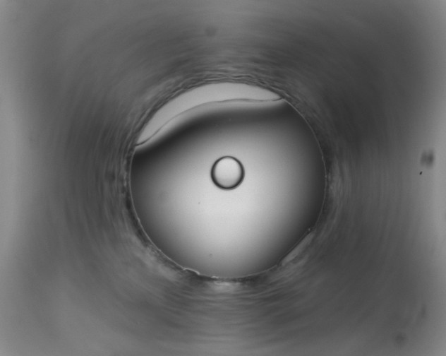 X0000113080233200909111011