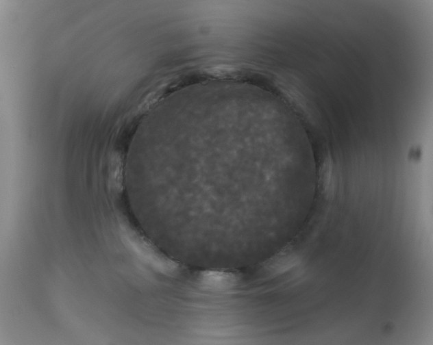 X0000113080234200909111011