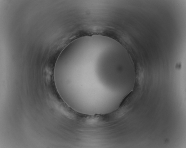 X0000113080235200909111011