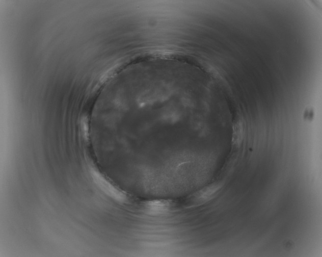 X0000113080238200909111010