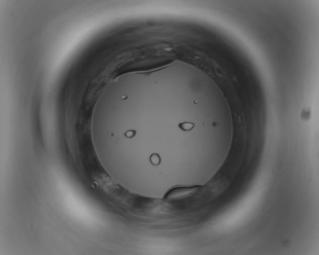 X0000113080239200909111010