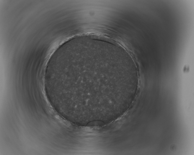 X0000113080241200909111010