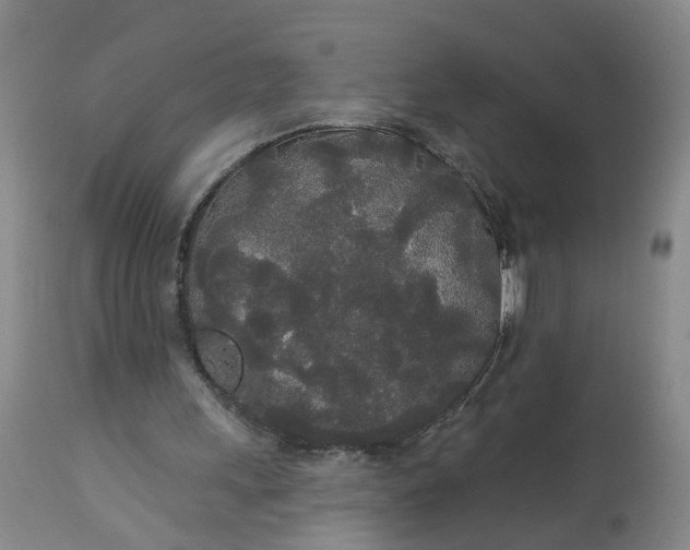 X0000113080243200909111010