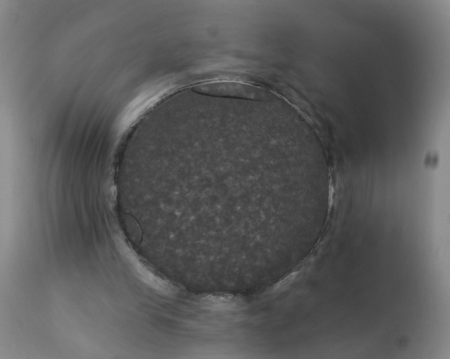 X0000113080245200909111010