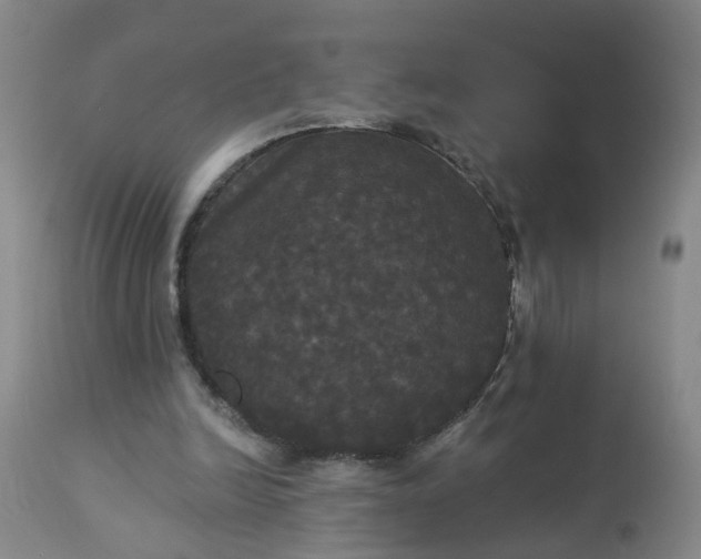 X0000113080246200909111010