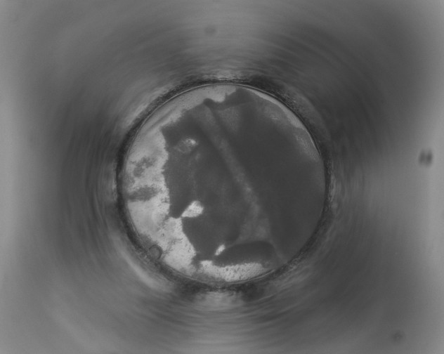 X0000113080251200909111010