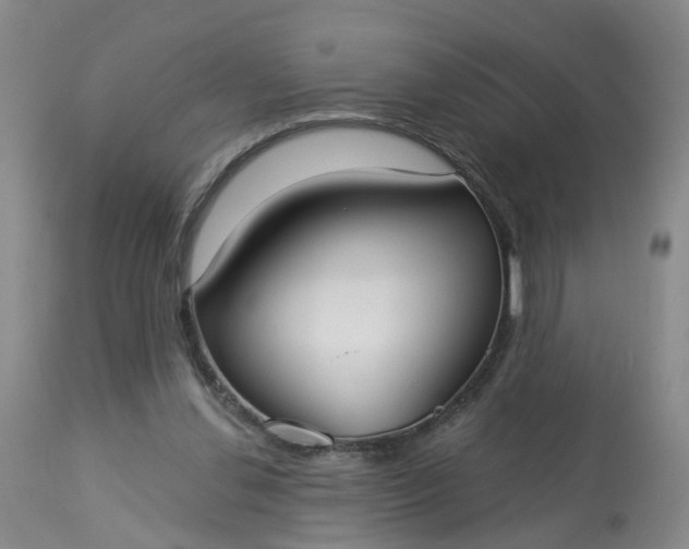 X0000113080252200909111010