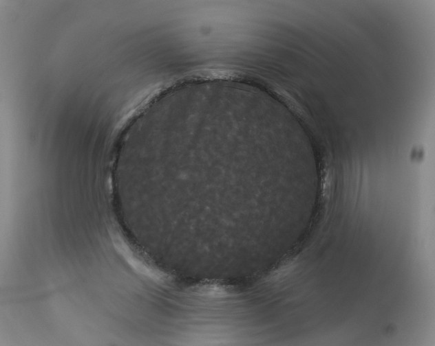 X0000113080254200909111010