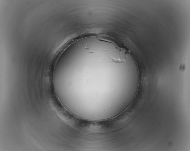 X0000113080256200909111010