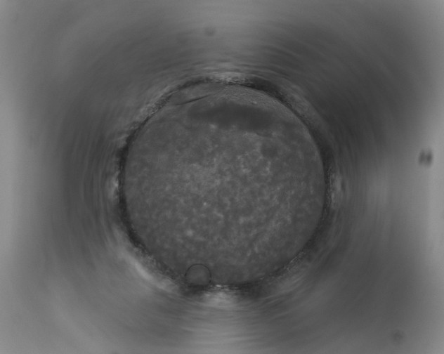 X0000113080259200909111010