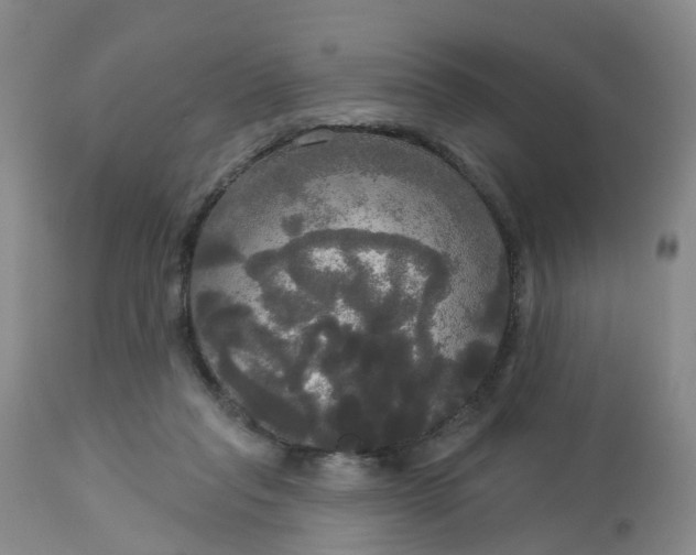 X0000113080261200909111010