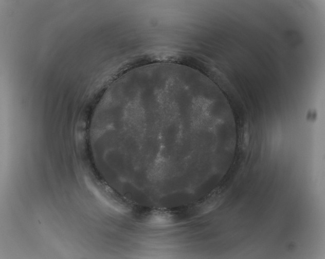 X0000113080263200909111010