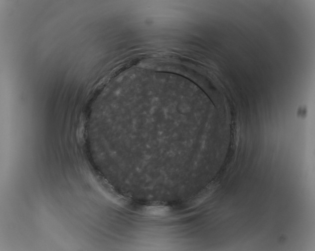 X0000113080266200909111010