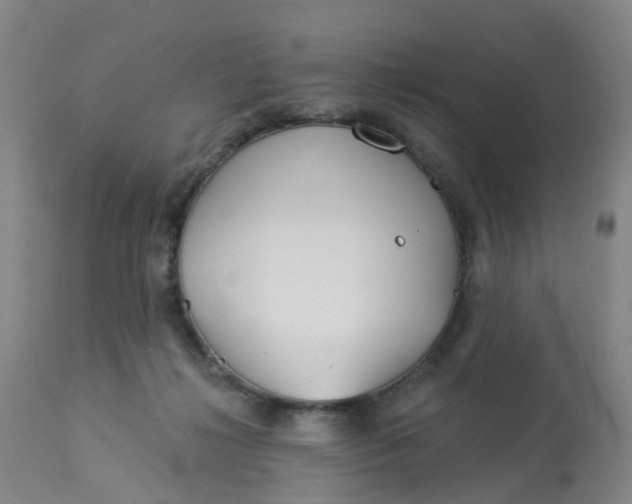 X0000113080268200909111010