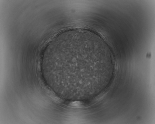 X0000113080269200909111010