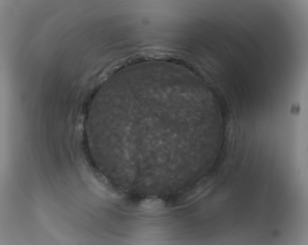 X0000113080271200909111010