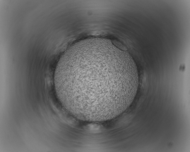 X0000113080272200909111010