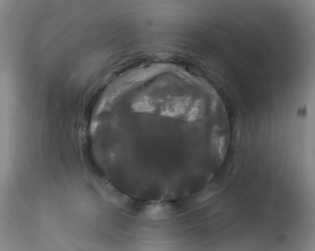 X0000113080274200909111010