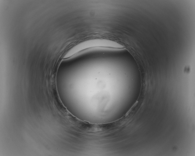 X0000113080276200909111010