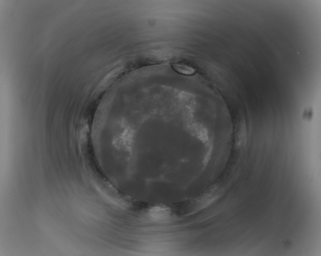 X0000113080279200909111010