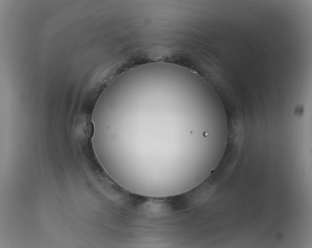 X0000113080280200909111010