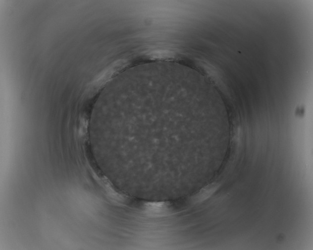 X0000113080281200909111010