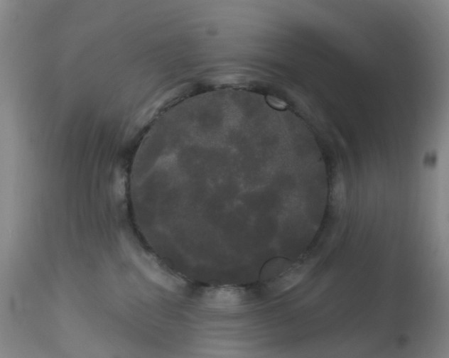 X0000113080282200909111010