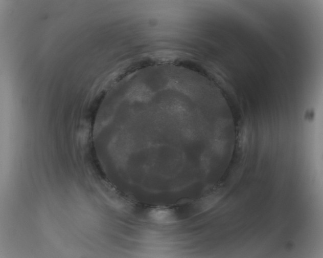 X0000113080283200909111010