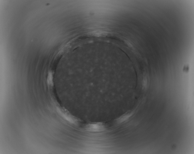 X0000113080286200909111010