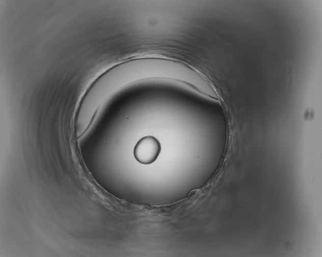 X0000113080289200909111010