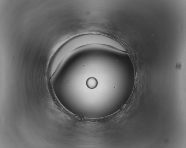 X0000113080292200909111010