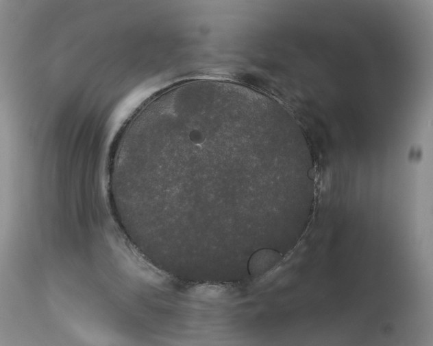 X0000113080294200909111010