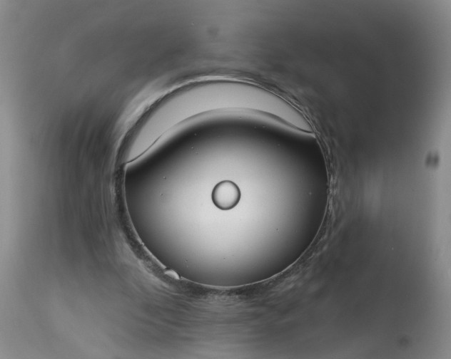 X0000113080296200909111009