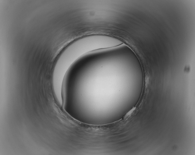 X0000113080297200909111009