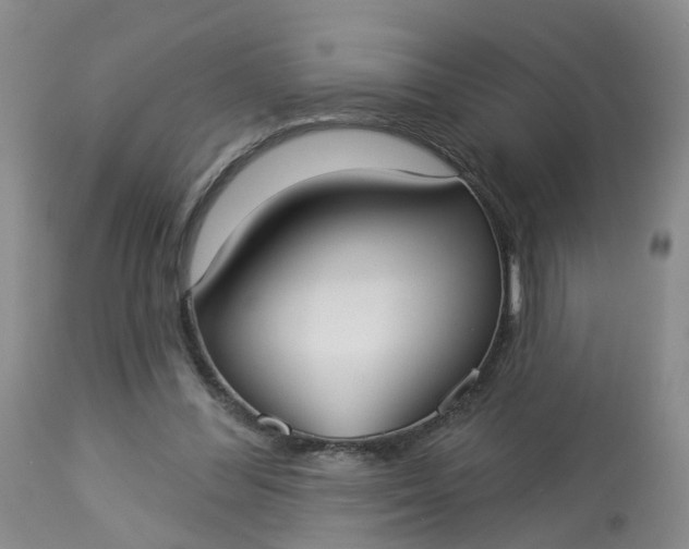 X0000113080300200909111009