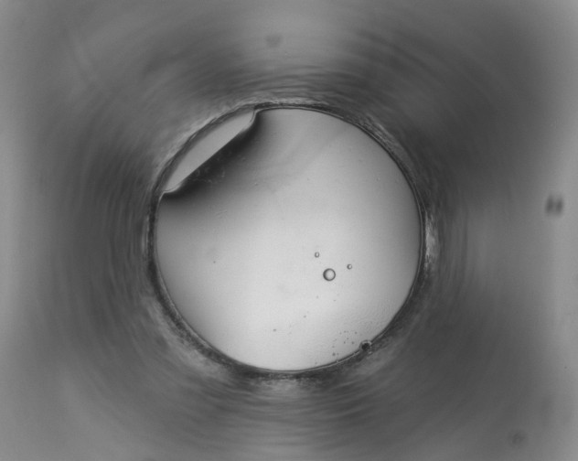 X0000113080301200909111009