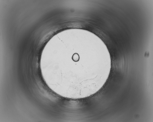 X0000113080302200909111009