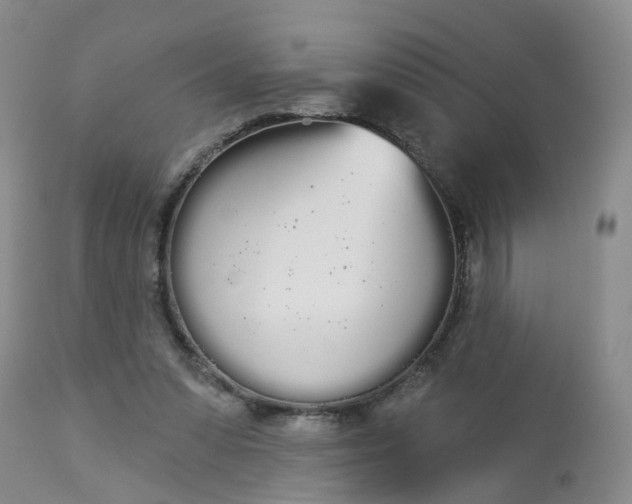 X0000113080303200909111009