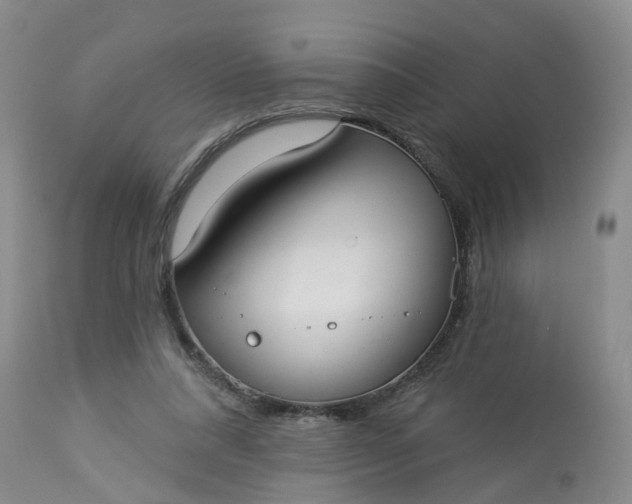 X0000113080304200909111009