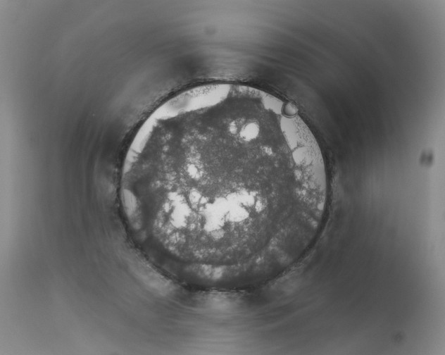 X0000113080305200909111009