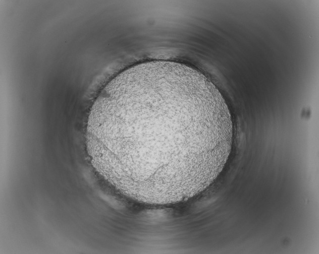 X0000113080307200909111009