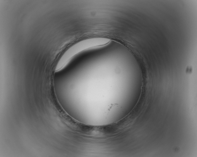 X0000113080308200909111009