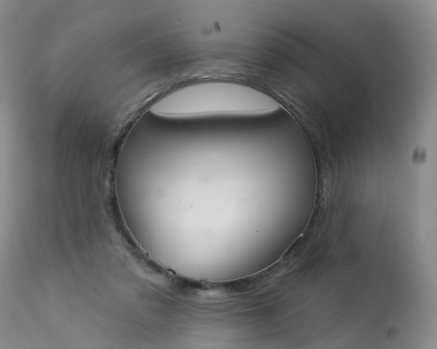 X0000113080309200909111009