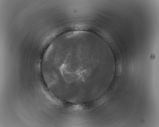 X0000113080310200909111009